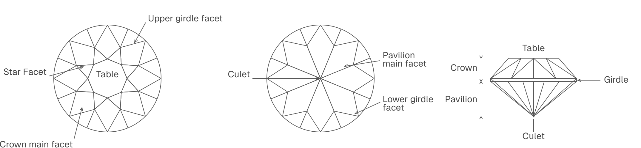 Anatomy of a diamond and the effects of light